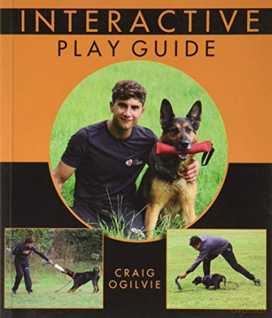 Interactive Play Guide - Craig Ogilvie [KSIĄŻKA]