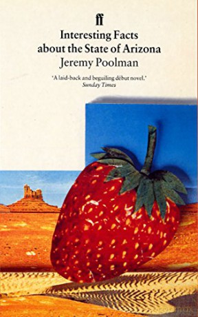 Interesting Facts about the State of Arizona - Jeremy Poolman [KSIĄŻKA]