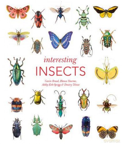 Interesting Insects - Gavin Broad [KSIĄŻKA]