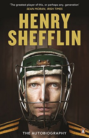 Interpreting Qualitative Data - Henry Shefflin [KSIĄŻKA]