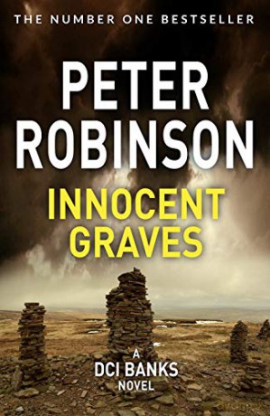 Into the Dark The Cincinnati Series Book 5: the absolutely gripping Sunday Times Top Ten bestseller Cincinnati 5 - Peter Robinson [KSIĄŻKA]