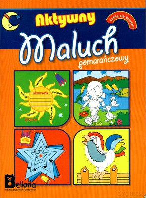 Aktywny Maluch Pomarańczowy Lubię Się Bawić [KSIĄŻKA]