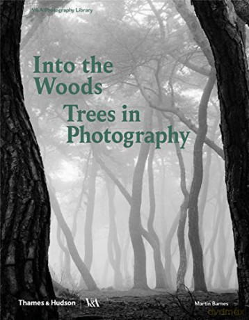Into the Woods: Trees in Photography: Trees and Photography Photography Library series; Victoria and Albert Museum - Martin Barnes [KSIĄŻKA]