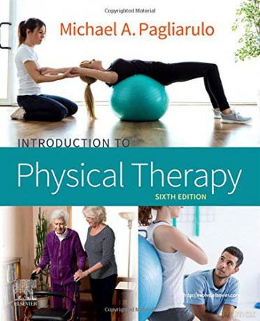 Introduction to Physical Therapy - Michael A. Pagliarulo PT EdD [KSIĄŻKA]