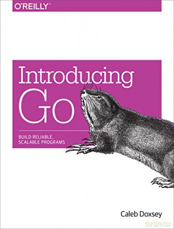 Introduction to Programming in Go: A Developer Resource: Build Reliable, Scalable Programs - Caleb Doxsey [KSIĄŻKA]