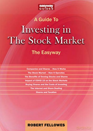 Investing in the Stock Market - Robert Fellowes [KSIĄŻKA]