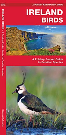 Ireland Birds, 2nd Edition: A Folding Pocket Guide to Familiar Species Pocket Naturalist Guide Wildlife and Nature Identification - James Kavanagh [KSIĄŻKA]