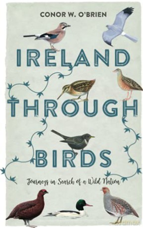 Ireland through Birds: Journeys in Search of a Wild Nation - Conor W. W. O'Brien [KSIĄŻKA]