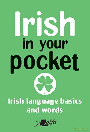 Irish in Your Pocket: Irish Language Basics and Words: 4 - Y Lolfa [KSIĄŻKA]