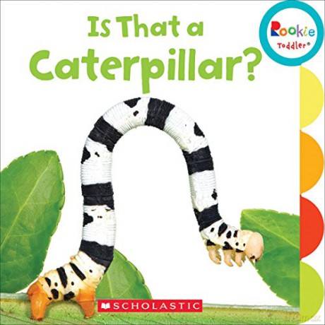 Is That a Caterpillar Rookie Toddler - Scholastic [KSIĄŻKA]