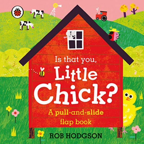 Is that you, Little Chick: A pull-and-slide flap book - Ladybird [KSIĄŻKA]