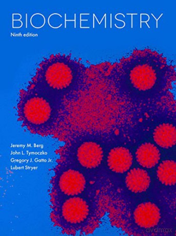 Is There a God - Jeremy M. Berg [KSIĄŻKA]