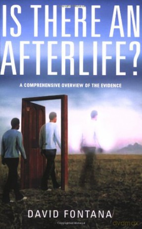 Is There an Afterlife: A Comprehensive Overview of the Evidence - David Fontana [KSIĄŻKA]