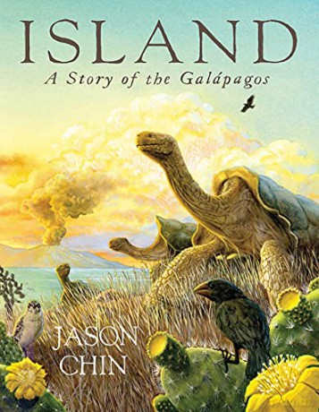 Island: A Story of the Galapagos - Jason Chin [KSIĄŻKA]