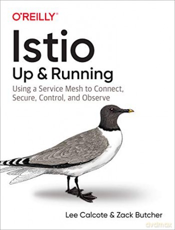 Istio: Up and Running: Using a Service Mesh to Connect, Secure, Control, and Observe - Lee Calcote [KSIĄŻKA]