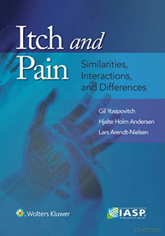 Itch and Pain: Similarities, Interactions, and Differences - Hjalte Andersen [KSIĄŻKA]