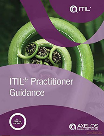 ITIL Practitioner Guidance Itil V3 - Axelos [KSIĄŻKA]