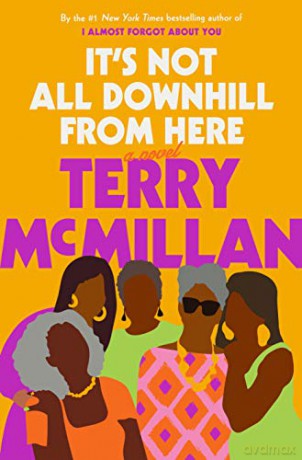 It's Not All Downhill from Here: A Novel - Terry McMillan [KSIĄŻKA]