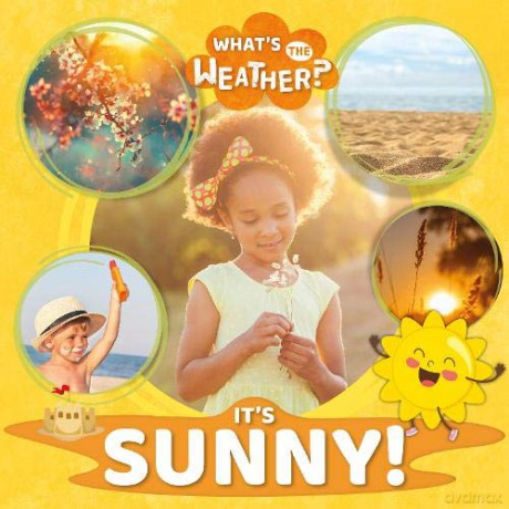 It's Sunny! What's the Weather - William Anthony [KSIĄŻKA]