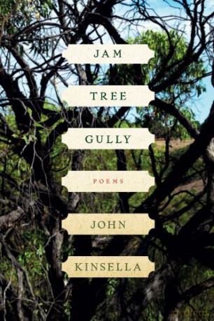Jam Tree Gully: Poems - John Kinsella [KSIĄŻKA]