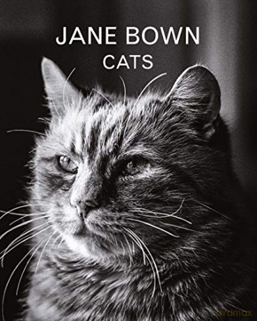 Jane Bown: Cats - Jane Bown [KSIĄŻKA]