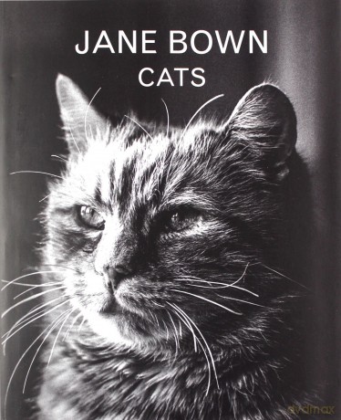 Jane Bown: Cats - Jane Bown [KSIĄŻKA]