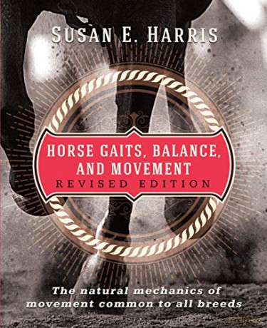 Japanese Grammar: A Workbook for Self-Study: 12 Essential Sentence Patterns for Everyday Communication Online Audio: Essential Sentence Patterns for Everyday Communication Free Online Audio - Susan E. Harris [KSIĄŻKA]