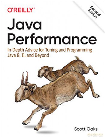 Java Performance: In-depth Advice for Tuning and Programming Java 8, 11, and Beyond - Scott Oaks [KSIĄŻKA]
