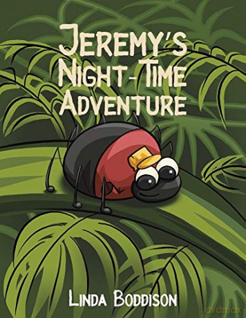 Jeremys Night-Time Adventure - Linda Boddison [KSIĄŻKA]