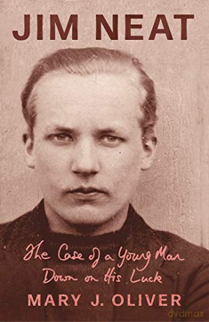 Jim Neat: The Case of a Young Man Down on His Luck - Mary J Oliver [KSIĄŻKA]