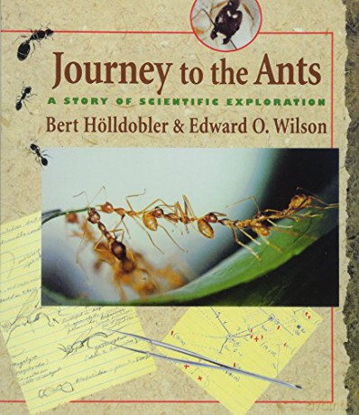 Journey to the Ants: A Story of Scientific Exploration - Bert Holldobler [KSIĄŻKA]