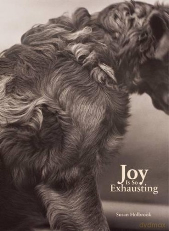 Joy Is So Exhausting - Susan Holbrook [KSIĄŻKA]