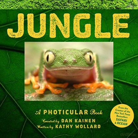 Jungle: A Photicular Book Photicular Books - Animal Kingdom - Dan Kainen [KSIĄŻKA]