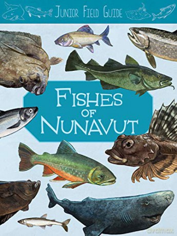 Junior Field Guide: Fishes of Nunavut: English Edition Junior Field Guides - Jordan Hoffman [KSIĄŻKA]