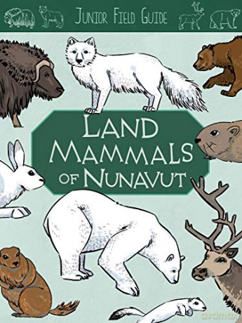 Junior Field Guide: Land Mammals: English Edition Junior Field Guides - Jordan Hoffman [KSIĄŻKA]