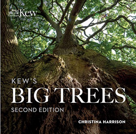 Kew's Big Trees - Christina [KSIĄŻKA]