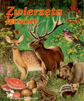 Zwierzęta Lasów [KSIĄŻKA]