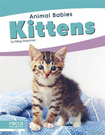 Kittens Animal Babies - Meg Gaertner [KSIĄŻKA]