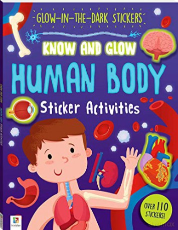 Know and Glow: Human Body: 1 [KSIĄŻKA]