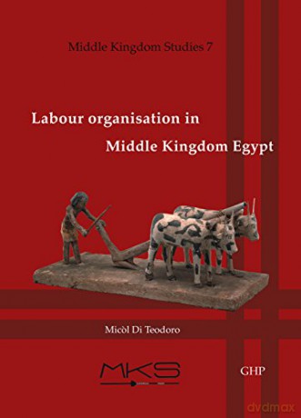 Labour organisation in Middle Kingdom Egypt: 7 Middle Kingdom Studies - Micol Di Teodoro [KSIĄŻKA]