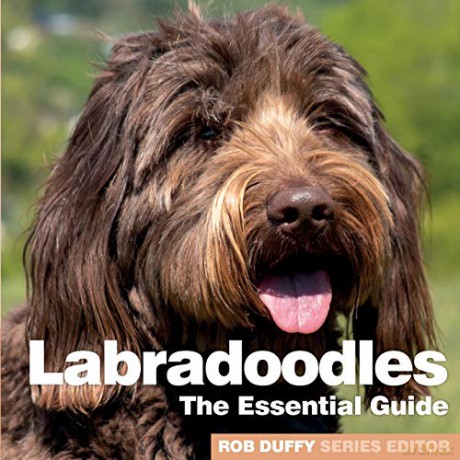 Labradoodles: The Essential Guide - Robert Duffy [KSIĄŻKA]