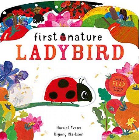 Ladybird First Nature - Harriet Evans [KSIĄŻKA]