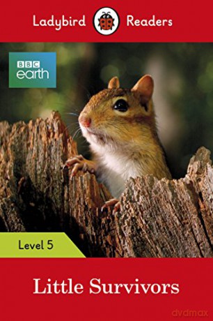 Ladybird Readers Level 5 BBC Earth Little Survivors - Ladybird [KSIĄŻKA]