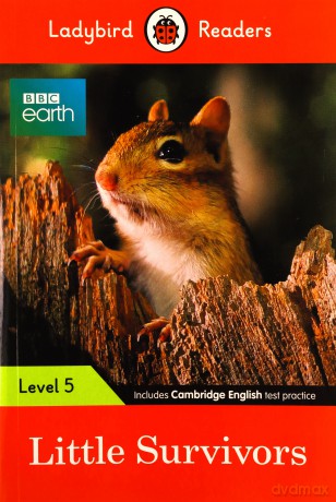Ladybird Readers Level 5 BBC Earth Little Survivors - Ladybird [KSIĄŻKA]
