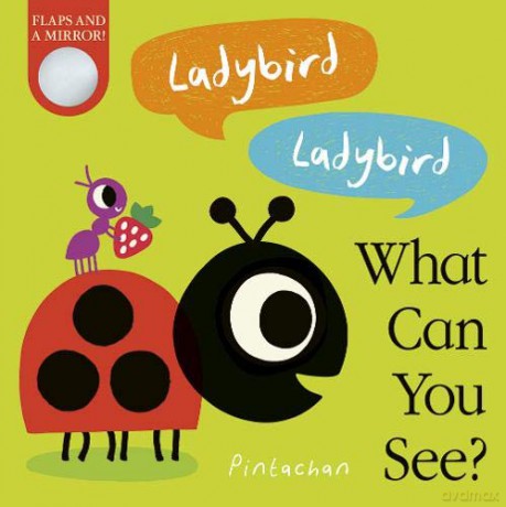 Ladybird! Ladybird! What Can You See: 3 - Amelia Hepworth [KSIĄŻKA]