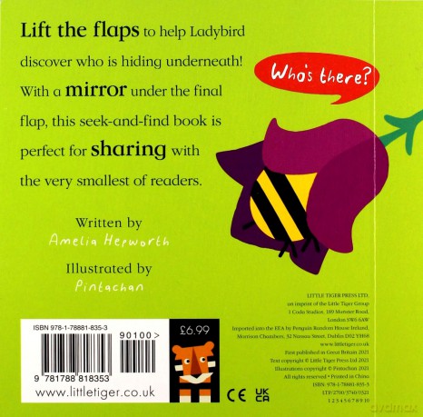 Ladybird! Ladybird! What Can You See: 3 - Amelia Hepworth [KSIĄŻKA]