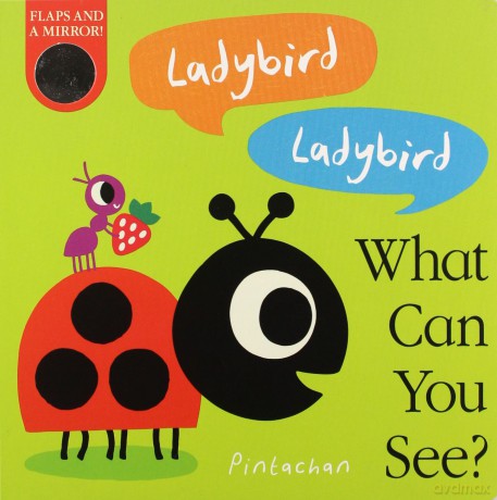 Ladybird! Ladybird! What Can You See: 3 - Amelia Hepworth [KSIĄŻKA]