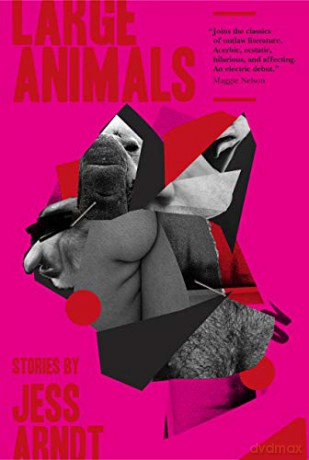 Large Animals: Stories - Jess Arndt [KSIĄŻKA]