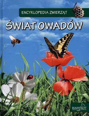 Encyklopedia Zwierząt Świat Owadów (twarda) [KSIĄŻKA]