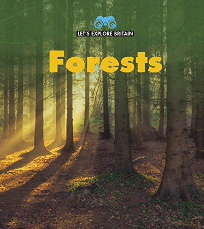 Let's Explore Britain: Forests - James Nixon [KSIĄŻKA]